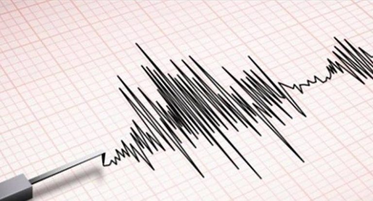 هكذا يمكنكم متابعة حركة الزلازل