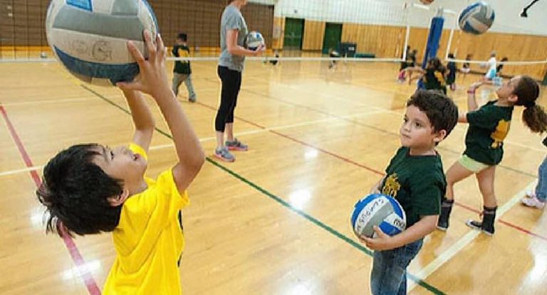 الكرة الطائرة إلى أين؟