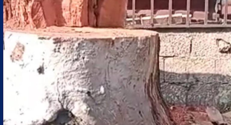 خاص – بالفيديو: تدمير ممنهج للبيئة تحت أنظار المسؤولين..هذا ما يحصل على هذا الطريق العام.