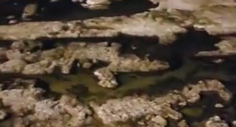 بالفيديو – مشهد مخيف بعد الزلزال.. مياه البحر تتراجع لأكثر من ٢٠٠ متر في عكّا!