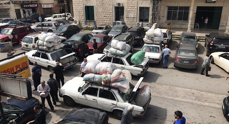 مجزرة بحق نبتة القصعين والزعتر في جبيل والقوى الأمنية تتحرك.