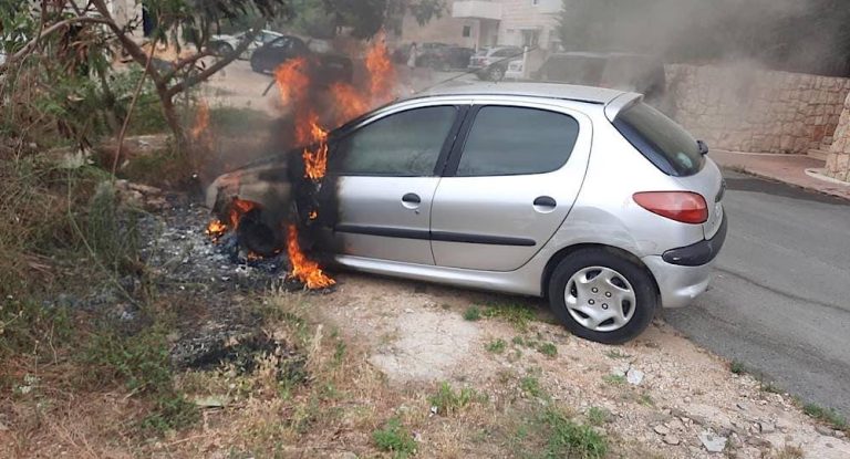 بالصور-حريق داخل سيارة في عمشيت.