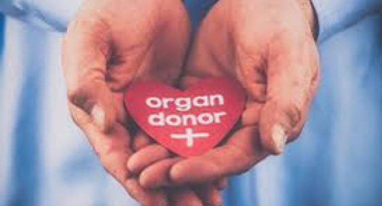 تبرّع بأعضاء أبنه المتوفى دماغيًا لينقذ حياة ٦ مرضى!
