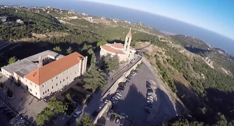 جريمة “موصوفة” في عنّايا… ومناشدة  المعنيين للتحرّك!