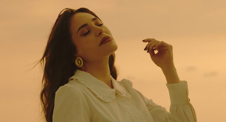 بالفيديو – الفنانة عبير نعمة تصدم جمهورها وتعلن إنسحابها في اللحظة الأخيرة من حفل دمشق غداً.. ماذا حصل؟