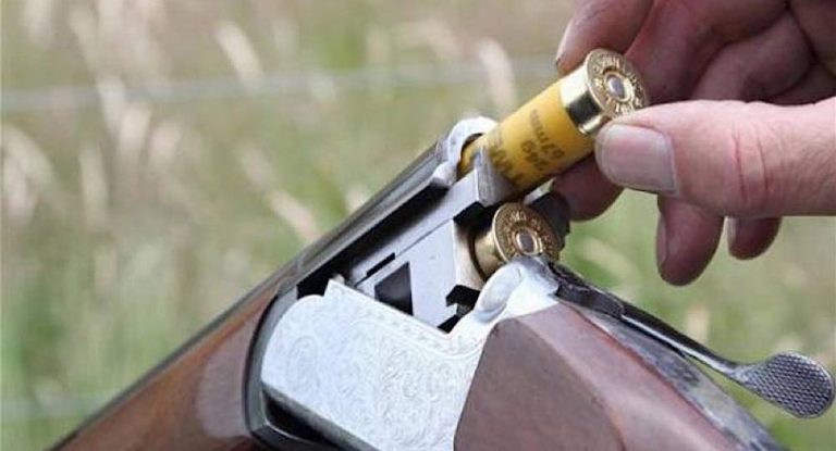 حادثة تهزّ بلدة لبنانية.. طفلٌ يُطلق النار على والدته!