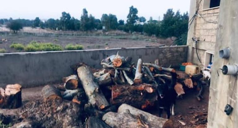 بالفيديو: يستغلّ الوضع الأمني لارتكاب جريمة بيئيّة!