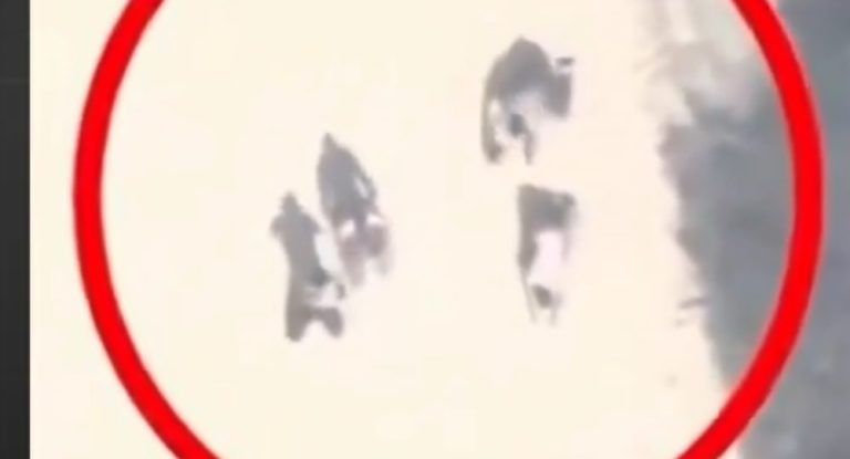 بالفيديو – تقرير لقناة “الجزيرة” أزعج إسرائيل.. فهل كان السبب وراء قصف الطاقم الصحفي مباشرة؟