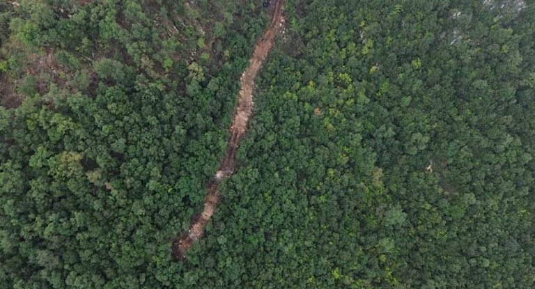 بالتفاصيل-القضاء والحركة البيئية ينتصران للبيئة