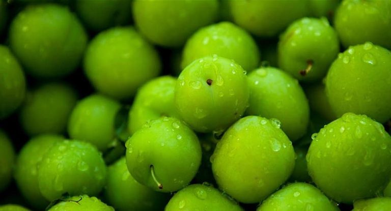 بالصور-أسعار الجنارك تضرب في لبنان