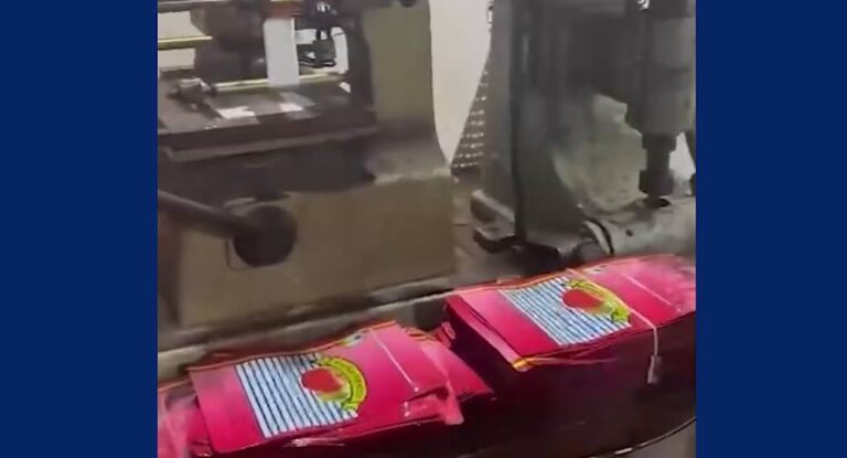 بالفيديو-ضبط مطبعة لتزوير ماركات تبغ وتنباك في هذه المنطقة