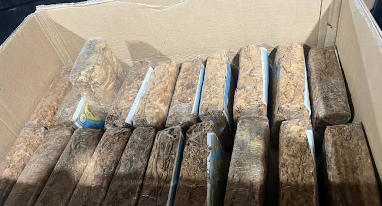 الريجي تضبط منتجات تبغية مهربة