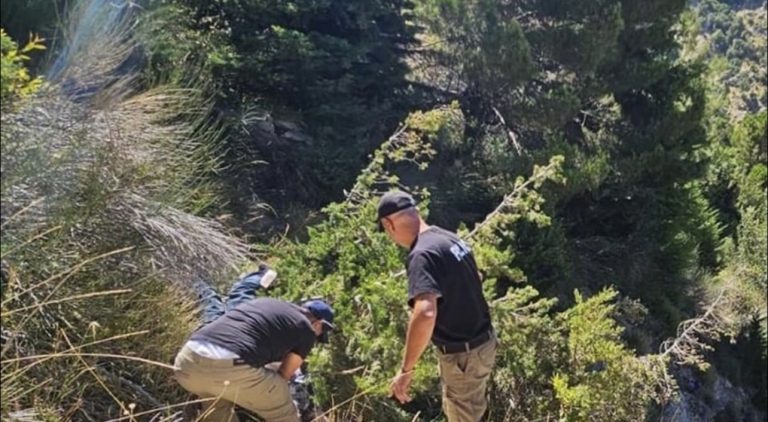 بالفيديو والصّورة – جوزيف طوق وعائلته ضحية حادث مأساوي.. تعرّفوا عليهم