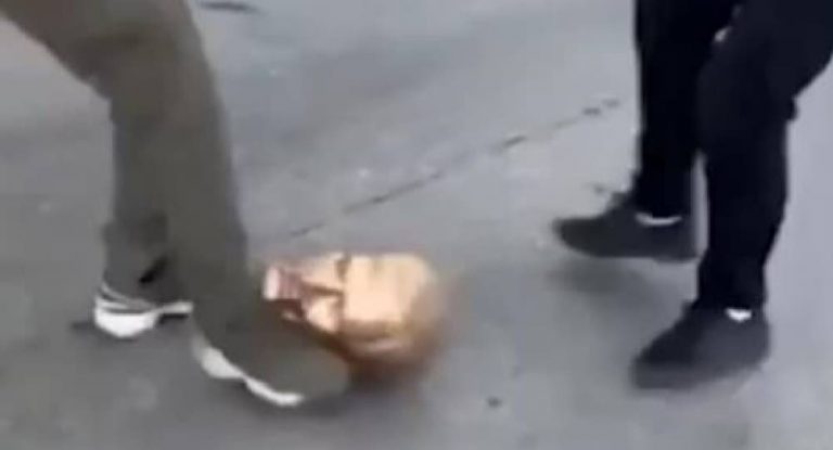 بالفيديو: يلعبون كرة القدم… برأس الأسد!