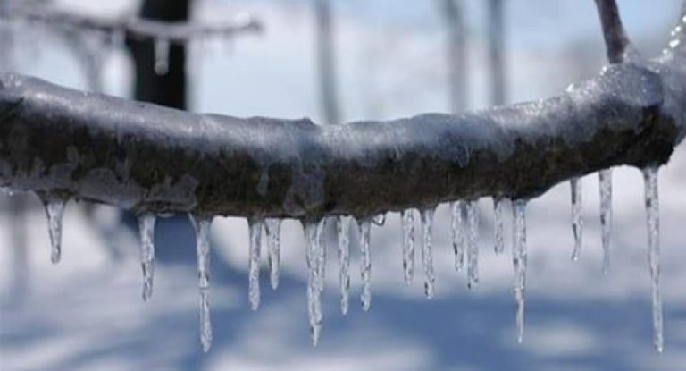 الصّقيع مستمرّ… والجليد على الـ 700 متر