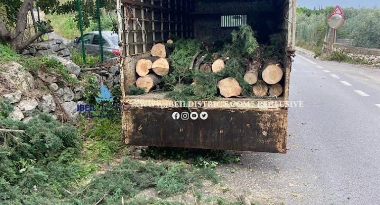 خاص-بالصور: مجزرة بيئية على طريق اده الجبيلية