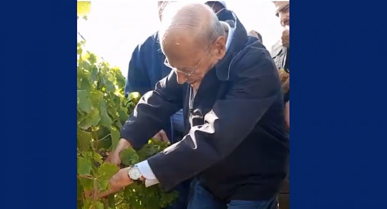 خاص-بالفيديو :الرئيس ميشال عون يقطف الكرمة في Domaint Saint Gabriel -غلبون