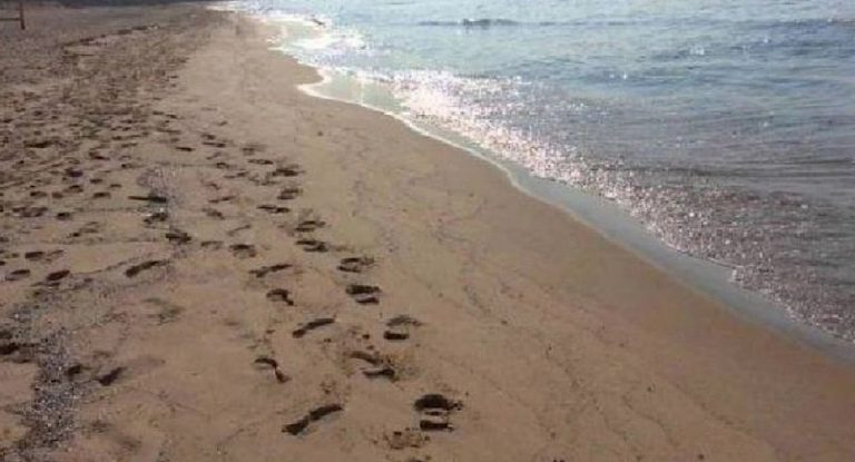 جريمة مروعة على هذا الشاطئ .. اليكم  التفاصيل!
