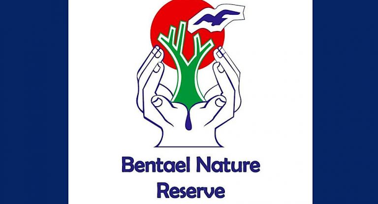 خاص-تشكيل لجنة جديدة لمحمية بنتاعل الطبيعية